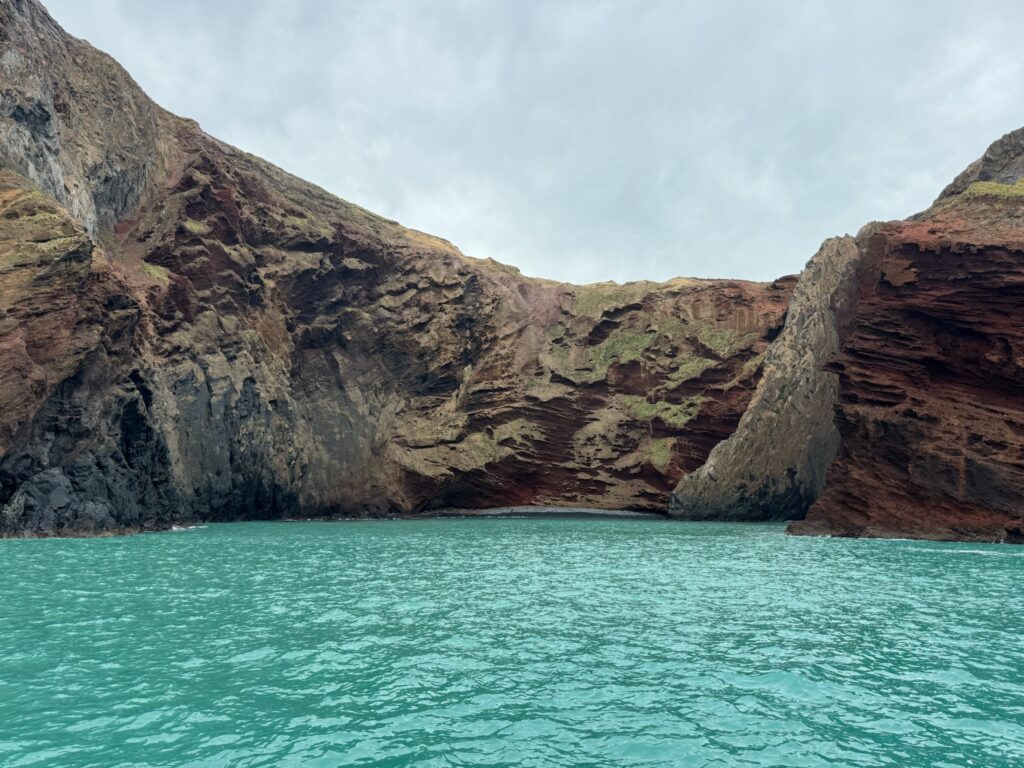 阿卡羅阿海港遊船完整指南|赫克托海豚、行程與真實評價 joynerary akaroa coastal cliffs sea cave cruise