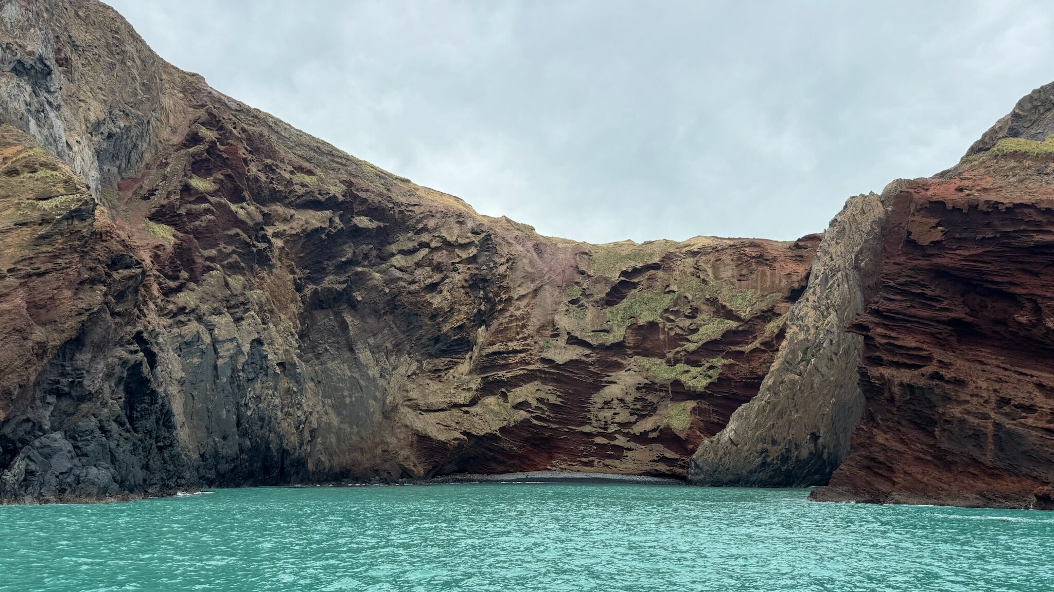 About joynerary akaroa coastal cliffs sea cave cruise
