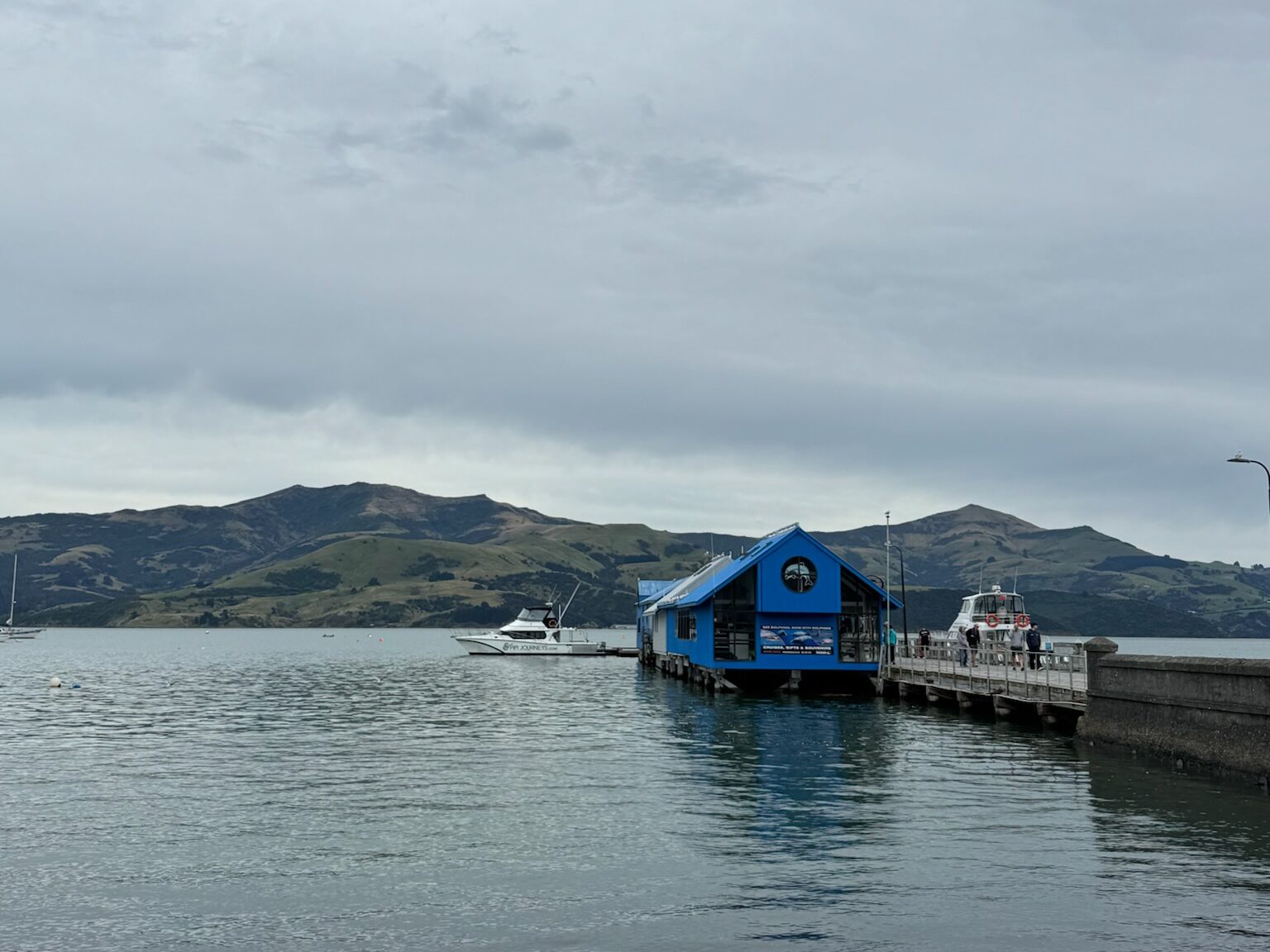 阿卡羅阿海港遊船完整指南|赫克托海豚、行程與真實評價 joynerary akaroa harbour bay panorama new zealand 01