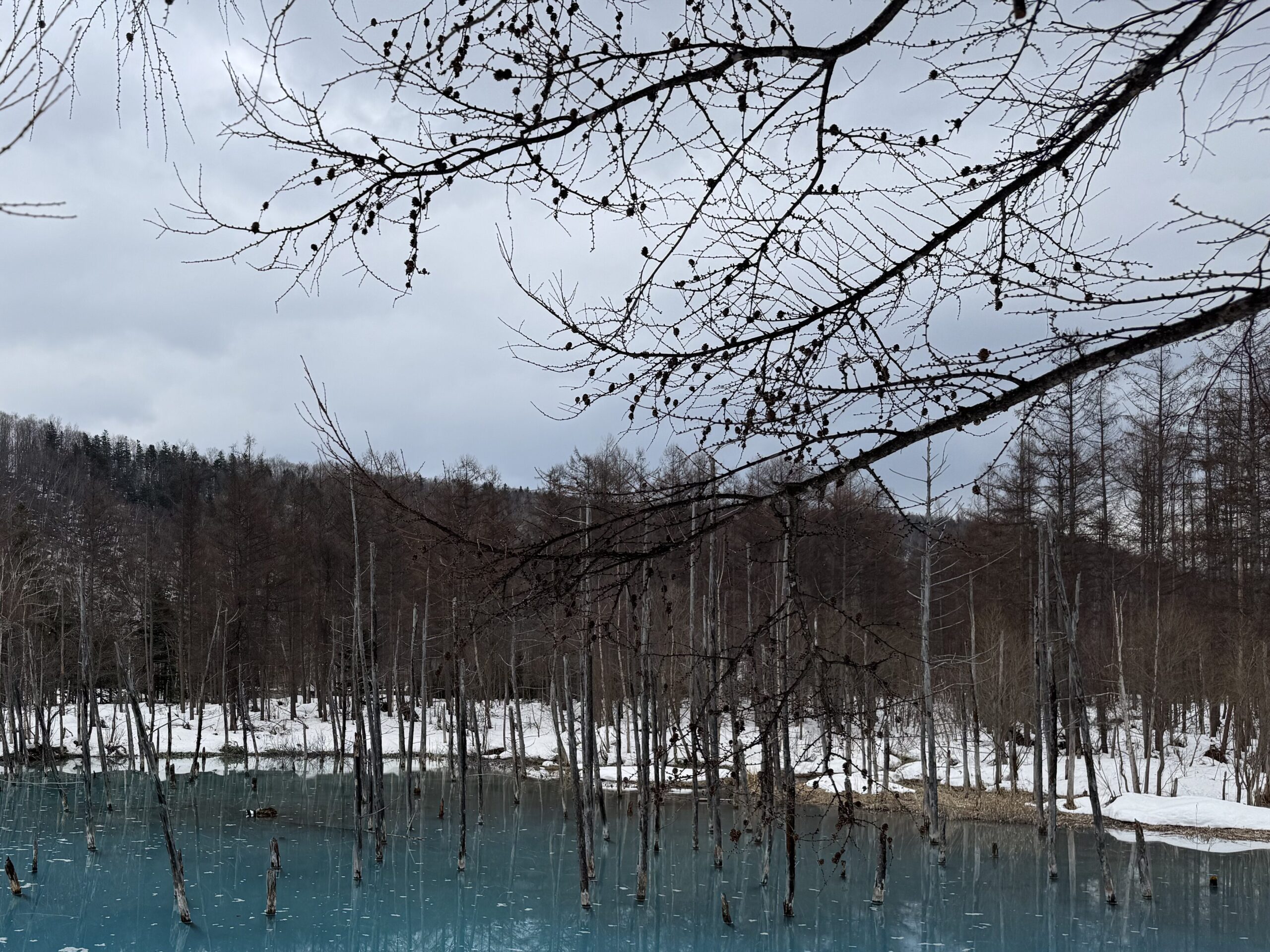 joynerary biei blue pond winter frozen hokkaido 02