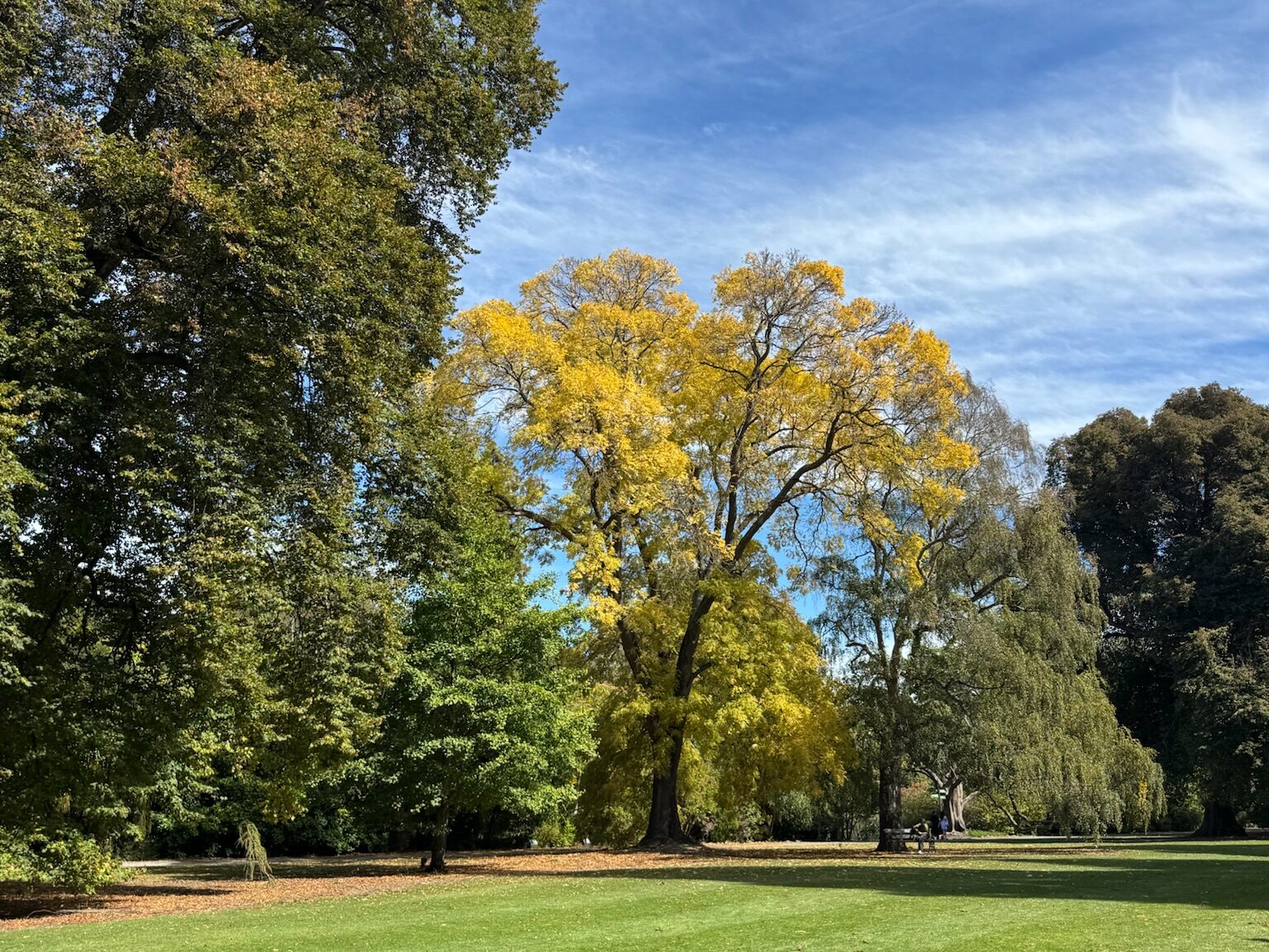 基督城一日遊完整攻略|景點、美食、行程建議 joynerary christchurch botanic gardens