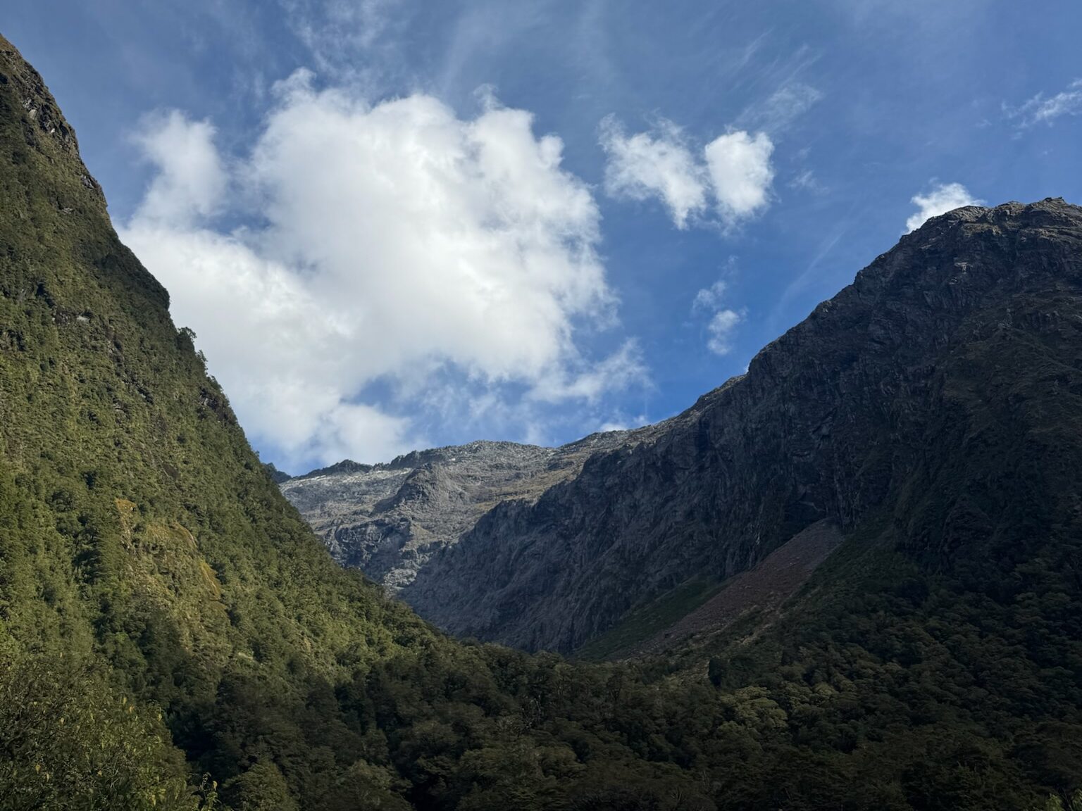 米佛峽灣一日遊完整攻略|皇后鎮出發巴士+遊船行程分享 joynerary fiordland national park valley mountain