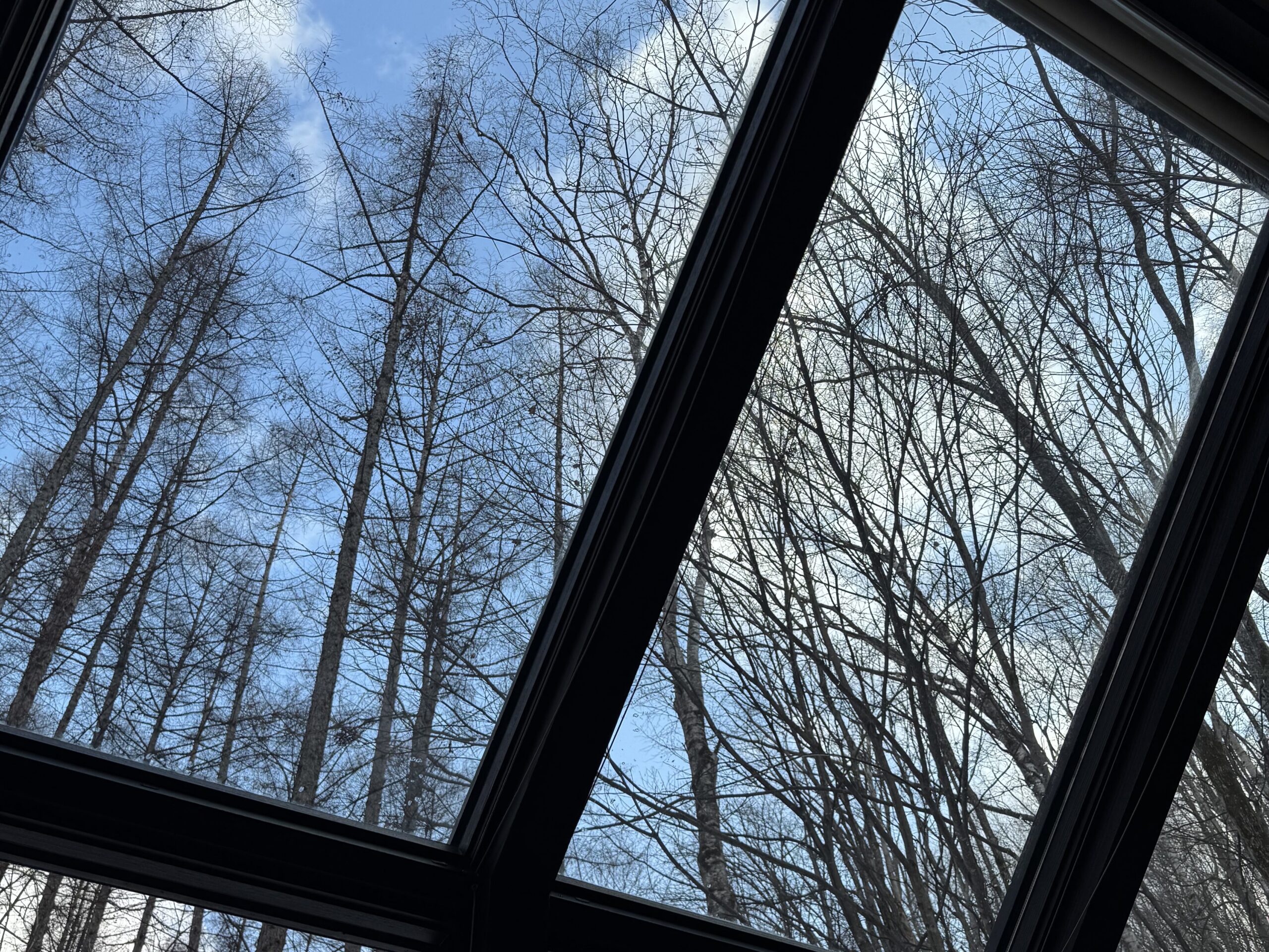 joynerary furano mori no tokei cafe forest window