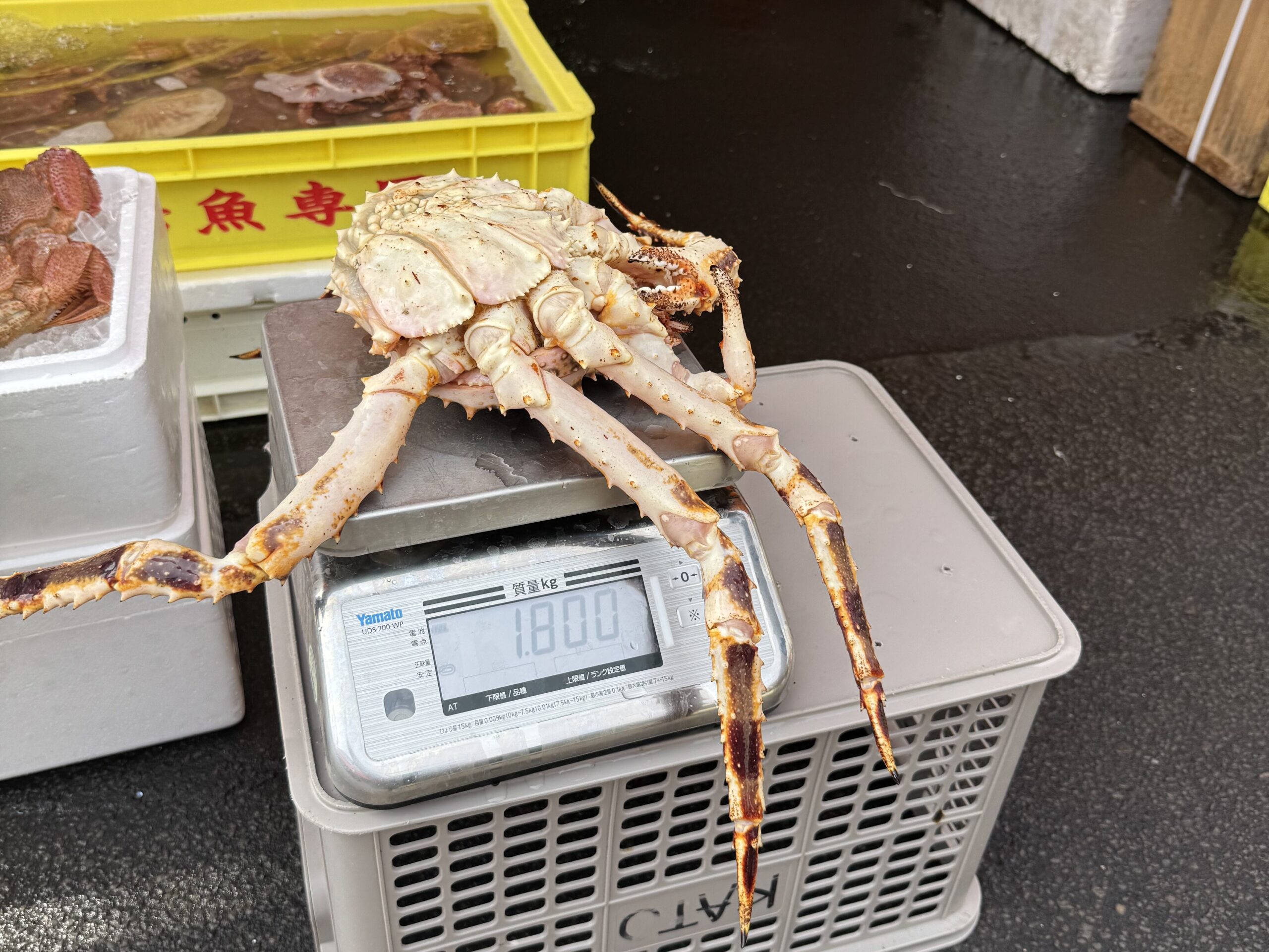 joynerary hakodate morning market king crab