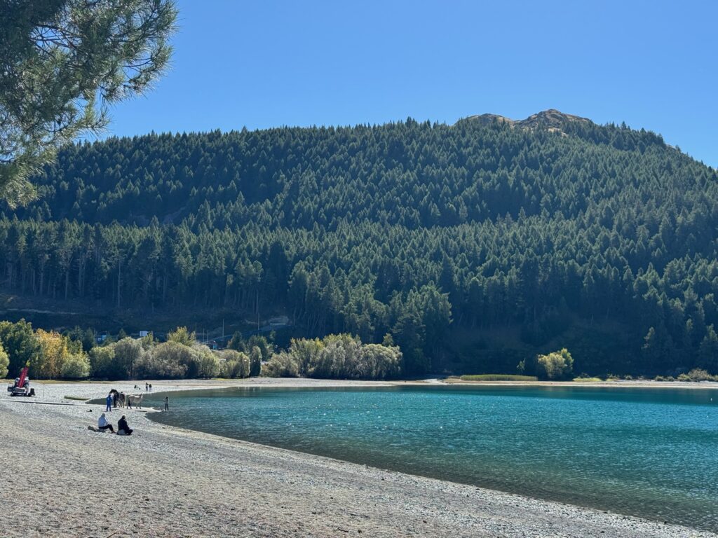 蒂卡波湖攻略|Lake Tekapo 吃住玩完整指南、行程建議與真實評價 joynerary lake tekapo blue green water panorama