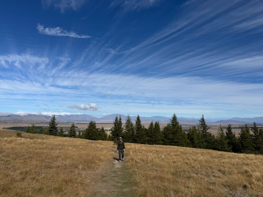 蒂卡波湖攻略|Lake Tekapo 吃住玩完整指南、行程建議與真實評價 joynerary mt john tekapo lake summit view