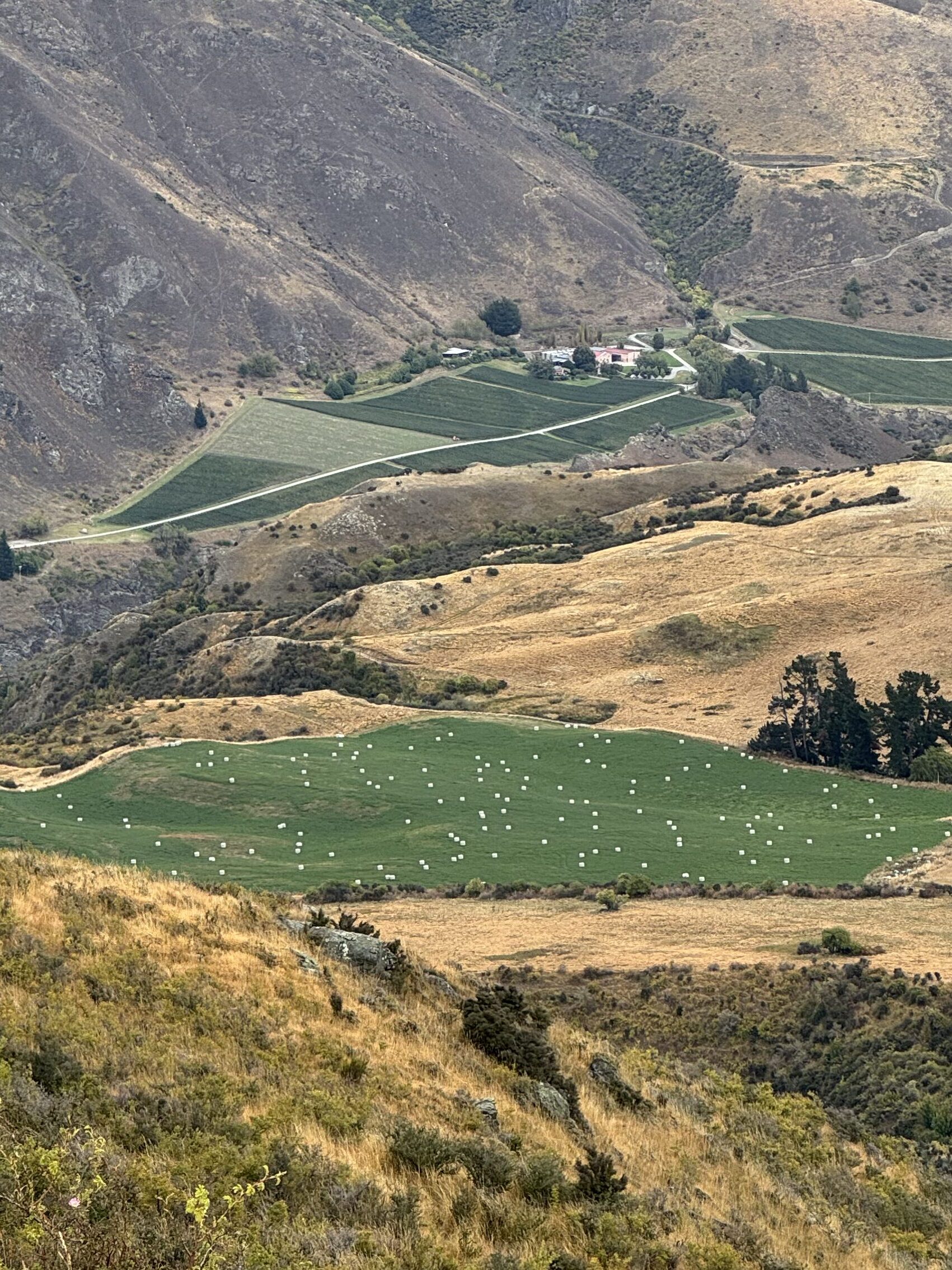 joynerary new zealand south island road trip scenery 01