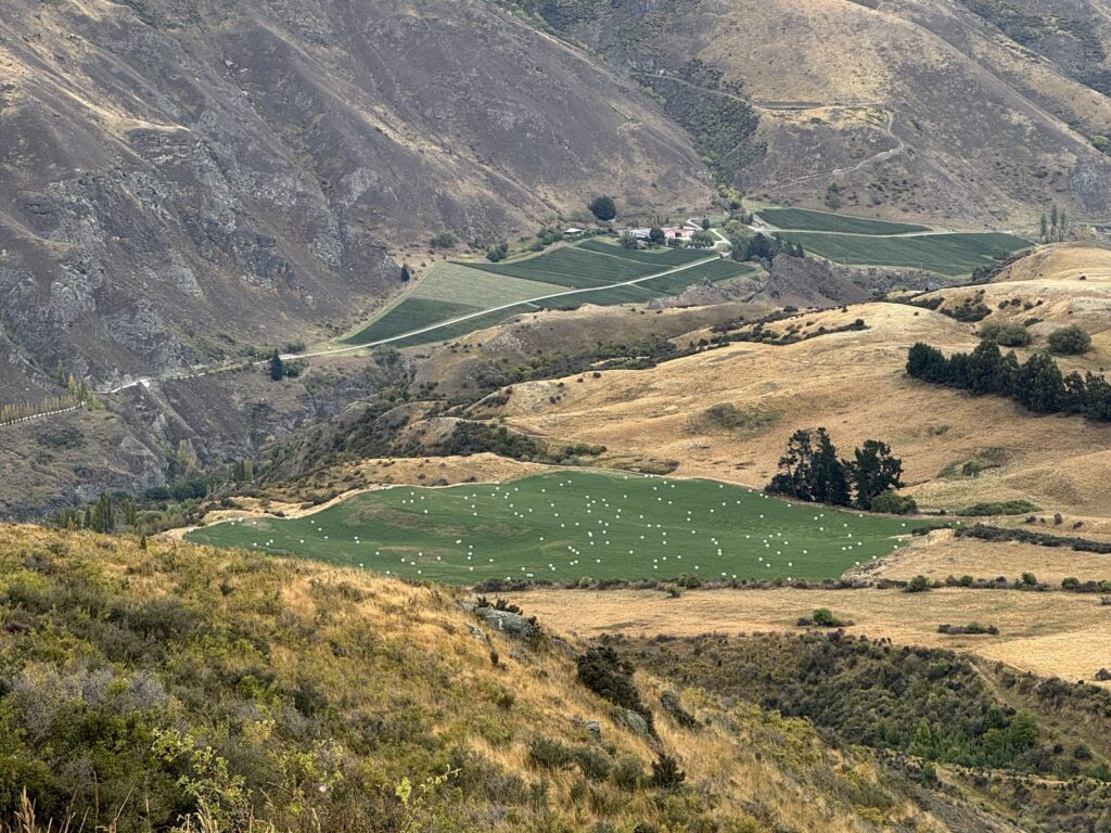joynerary new zealand south island road trip scenery