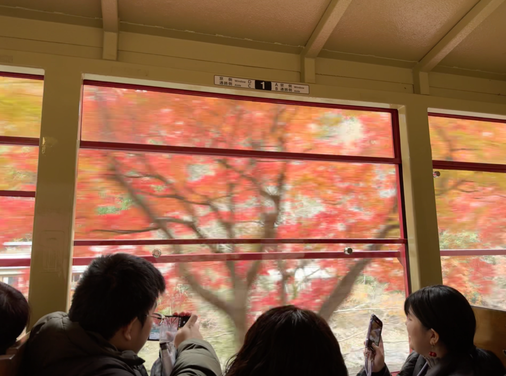 京都嵐山一日遊|嵐山小火車、保津川遊船、竹林小徑完整行程 joynerary sagano scenic railway momiji tunnel