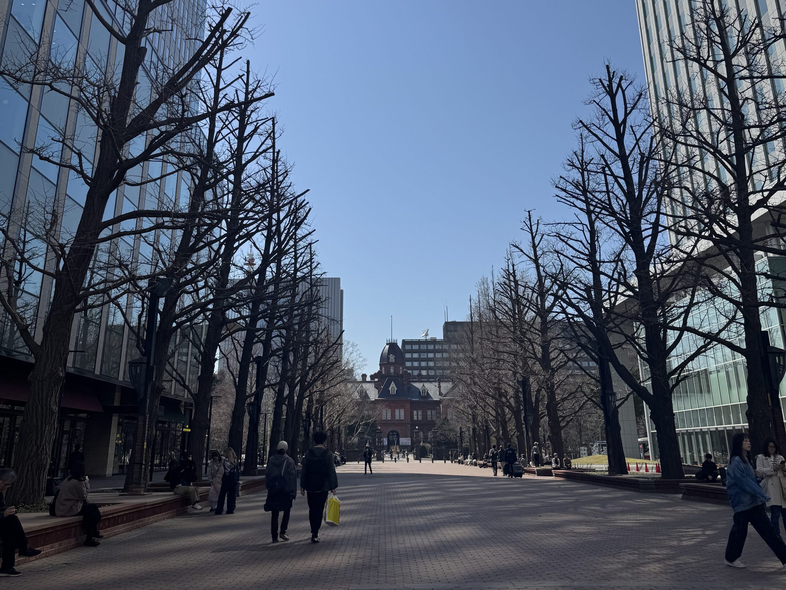 北海道札幌+小樽行程推薦|運河散步、硝子館、伴手禮採購完整攻略 joynerary sapporo city street view hokkaido