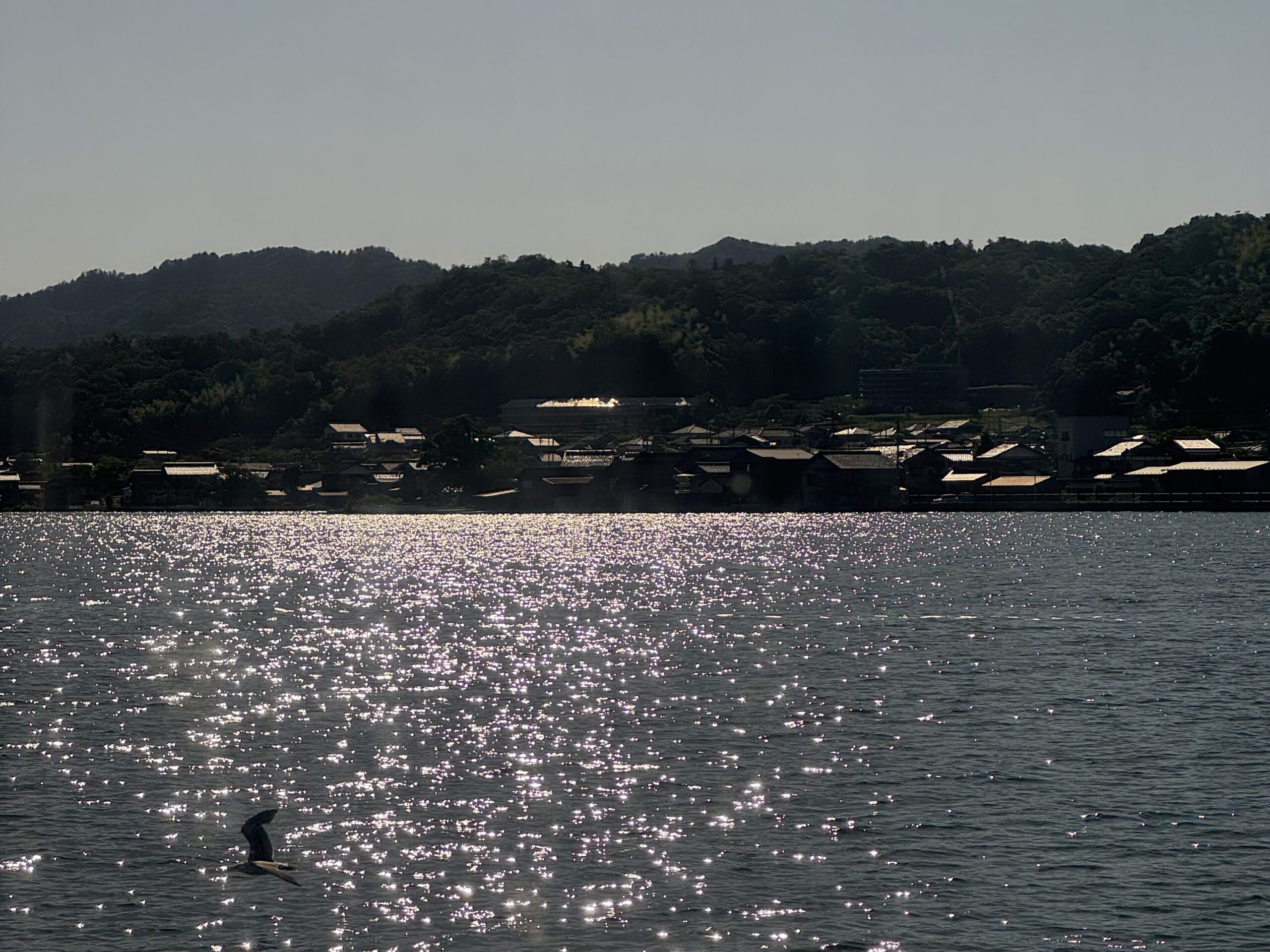 joynerary amanohashidate sandbar view from boat