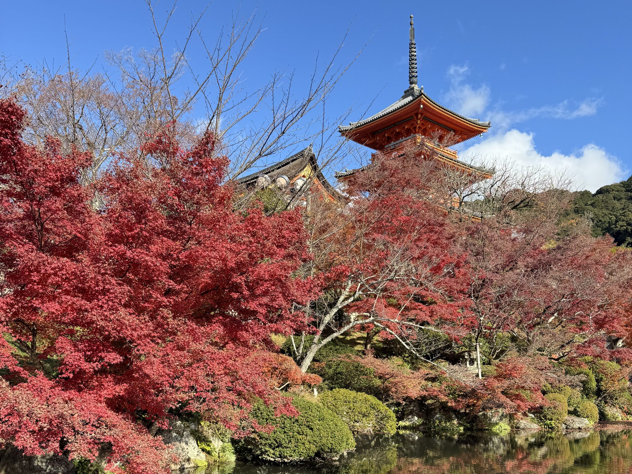 京都兩日遊|清水寺、三年坂、花見小路、伏見稻荷必去景點 joynerary kiyomizudera autumn leaves
