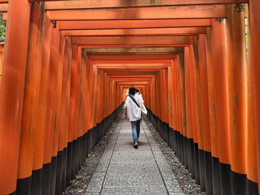 joynerary kyoto fushimi inari torii cover